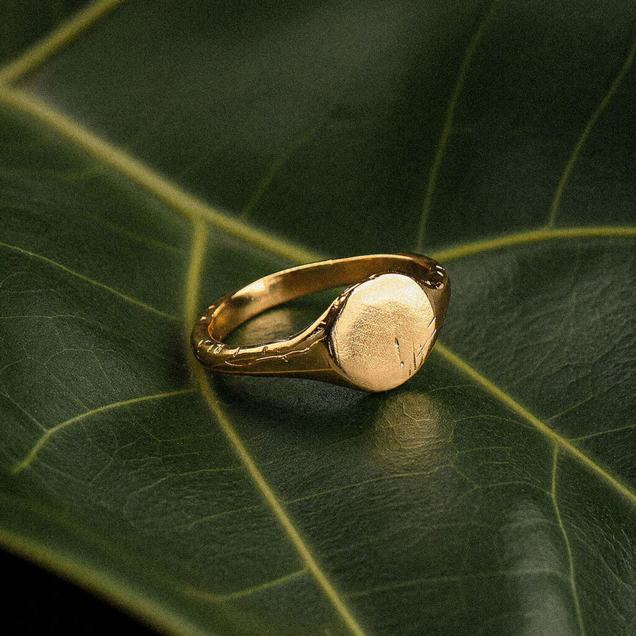 Anel Sinete Redondo - Banho Ouro
